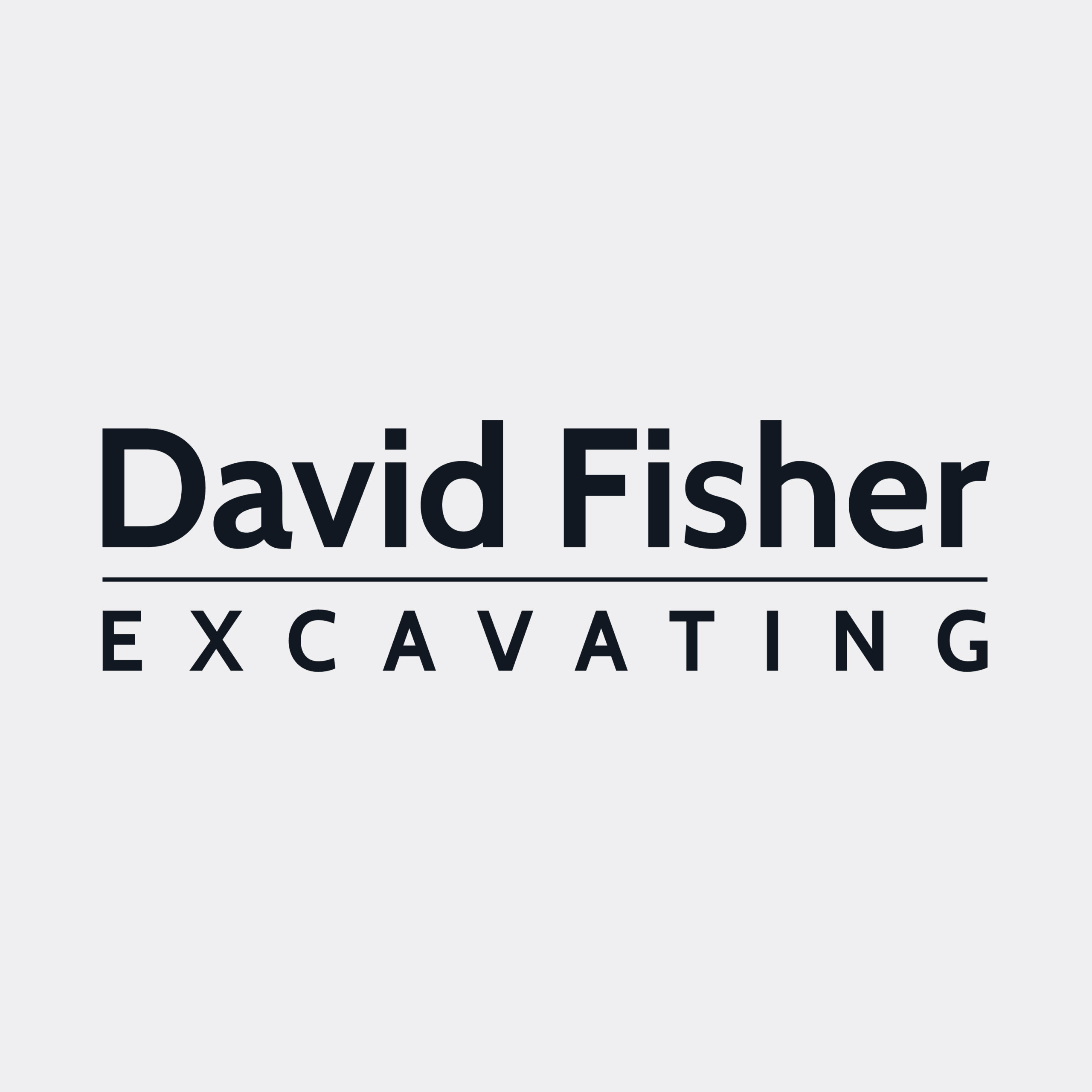 David Fisher Excavating