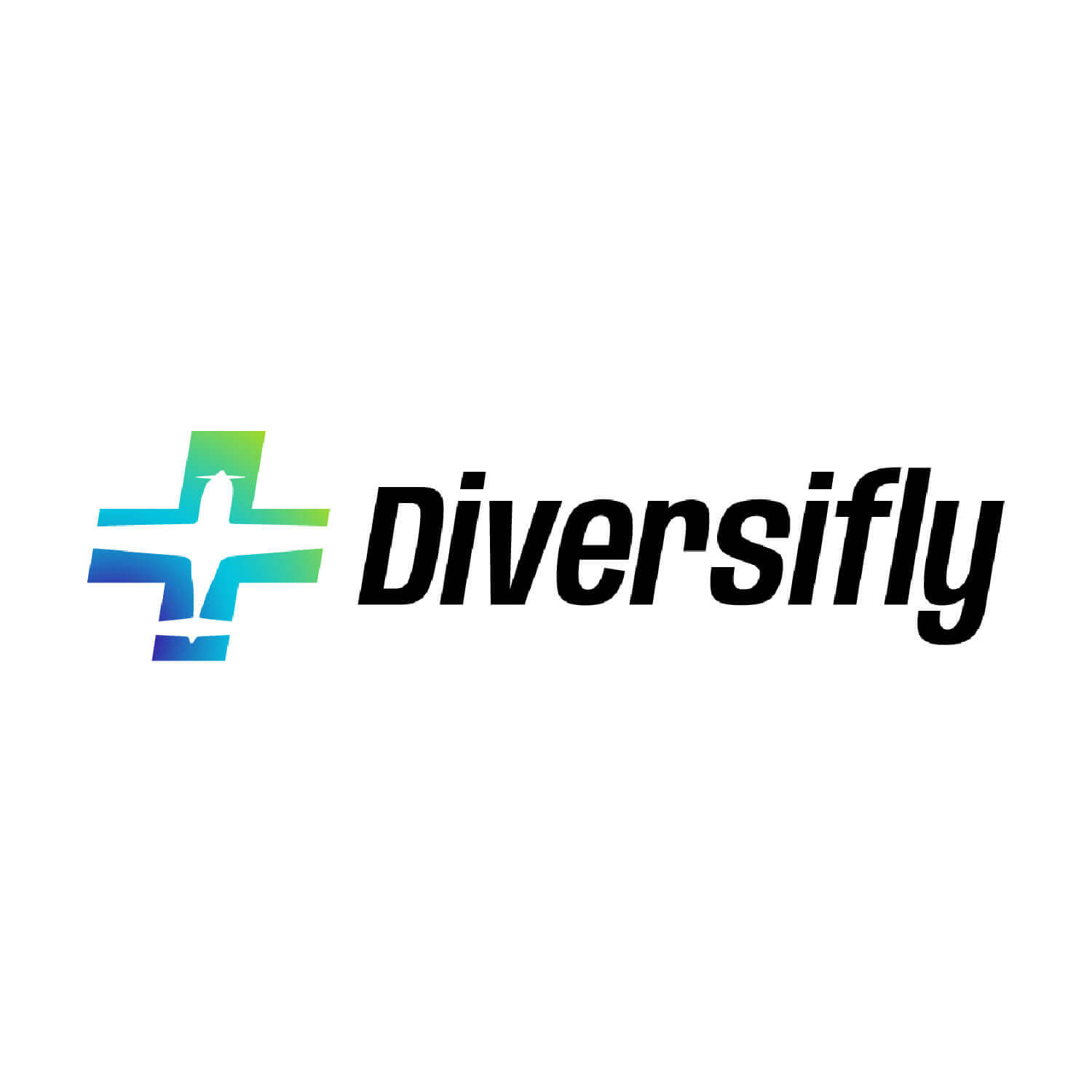Diversifly logo